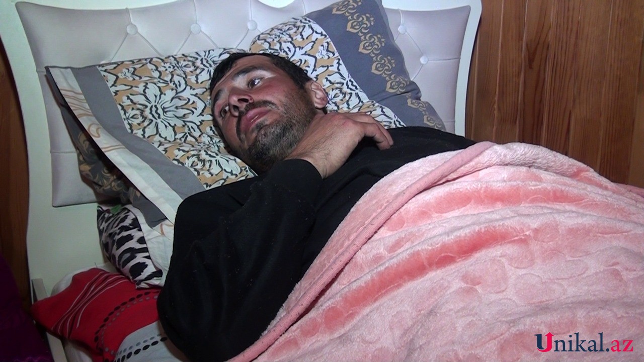 Qubada ayı hücumu olub, xəsarət alan var - YENİLƏNİB (FOTOLAR)